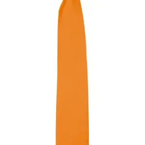 Kariban Stropdas met clip