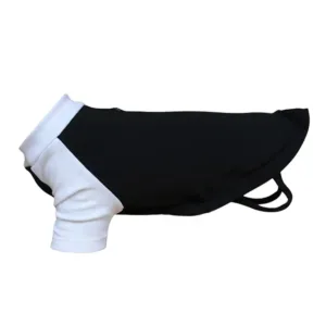 Dog’s raglan t-shirt