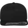 FLEXFIT 6 panel pet Fitted Snapback