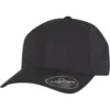 FLEXFIT Pet Delta Snapback