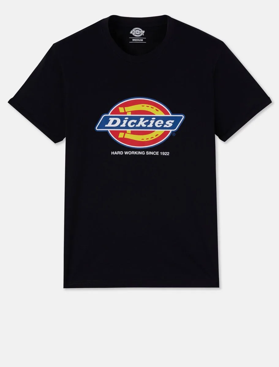 Dickies Heren-t-shirt DENISON (DT6010)