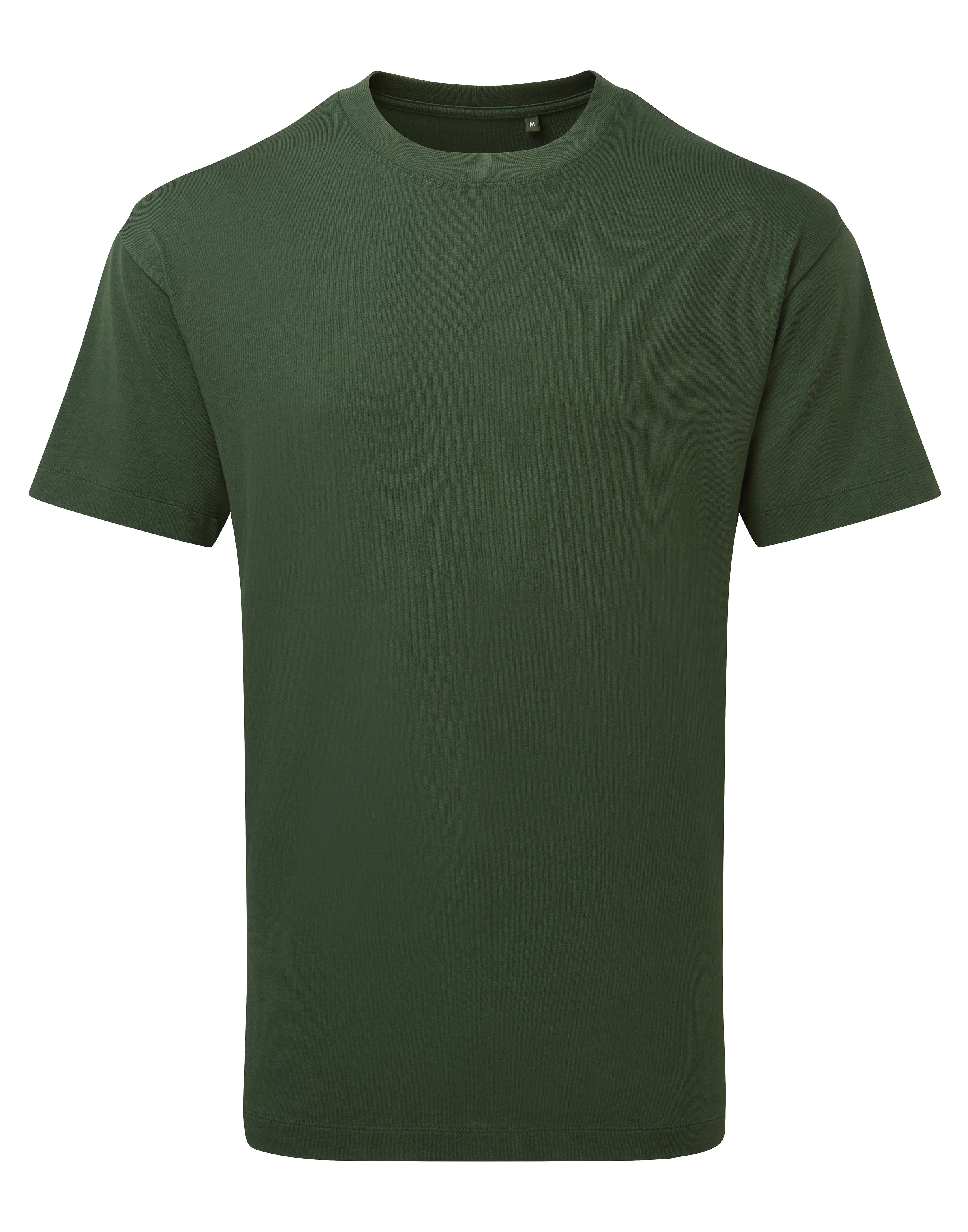 AM015_ForestGreen_FT