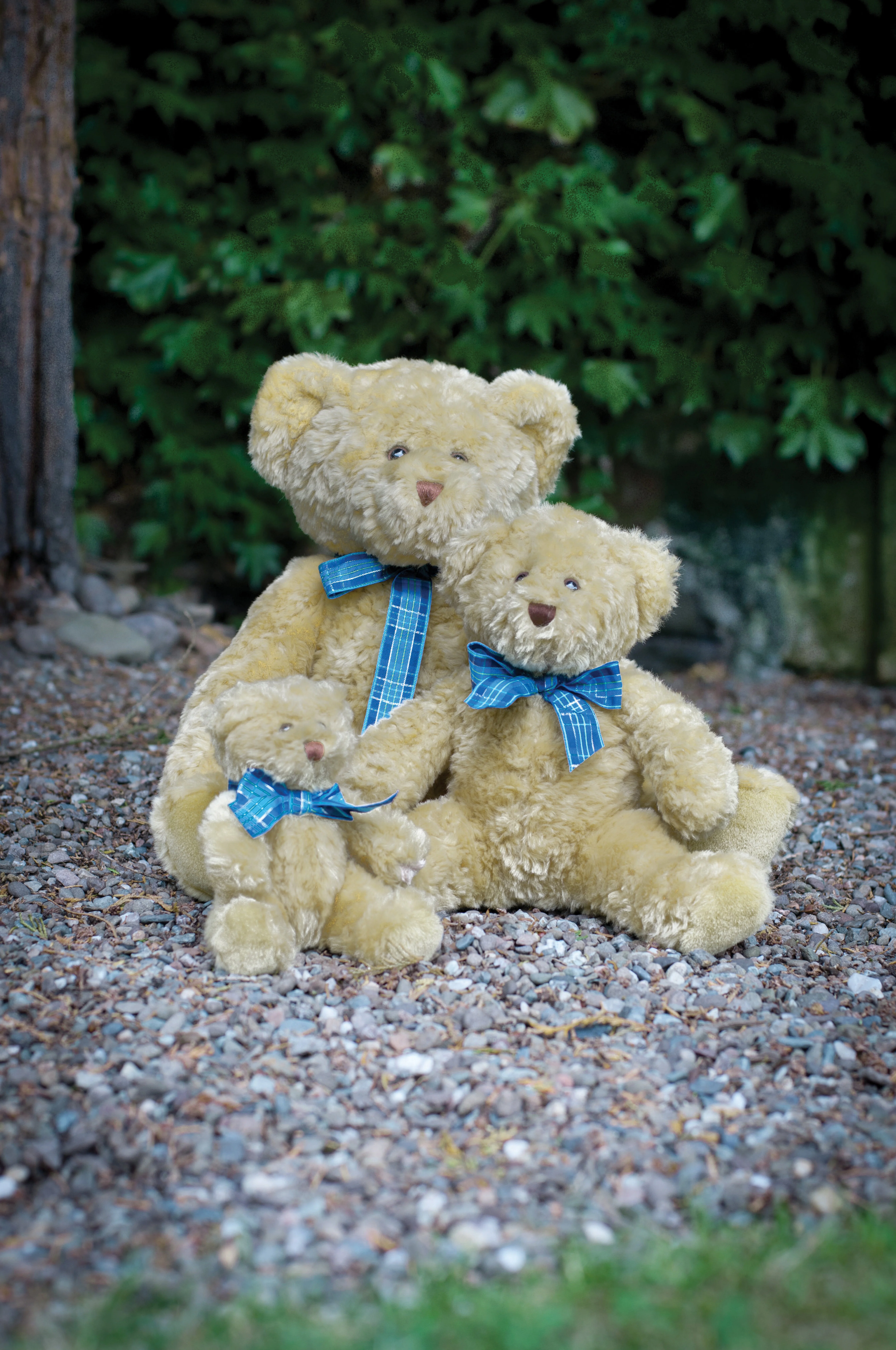 Bracken bear