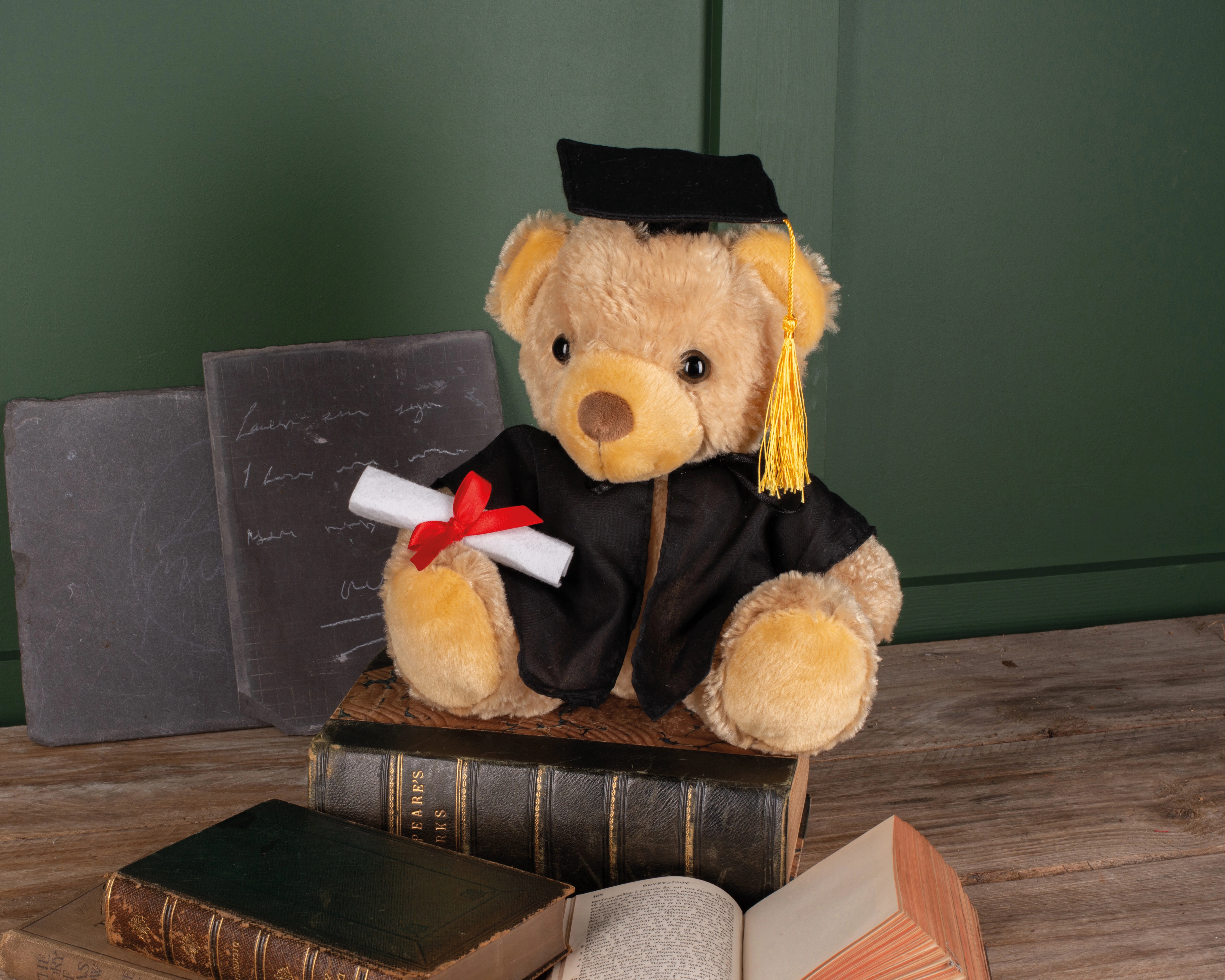 Graduation bear