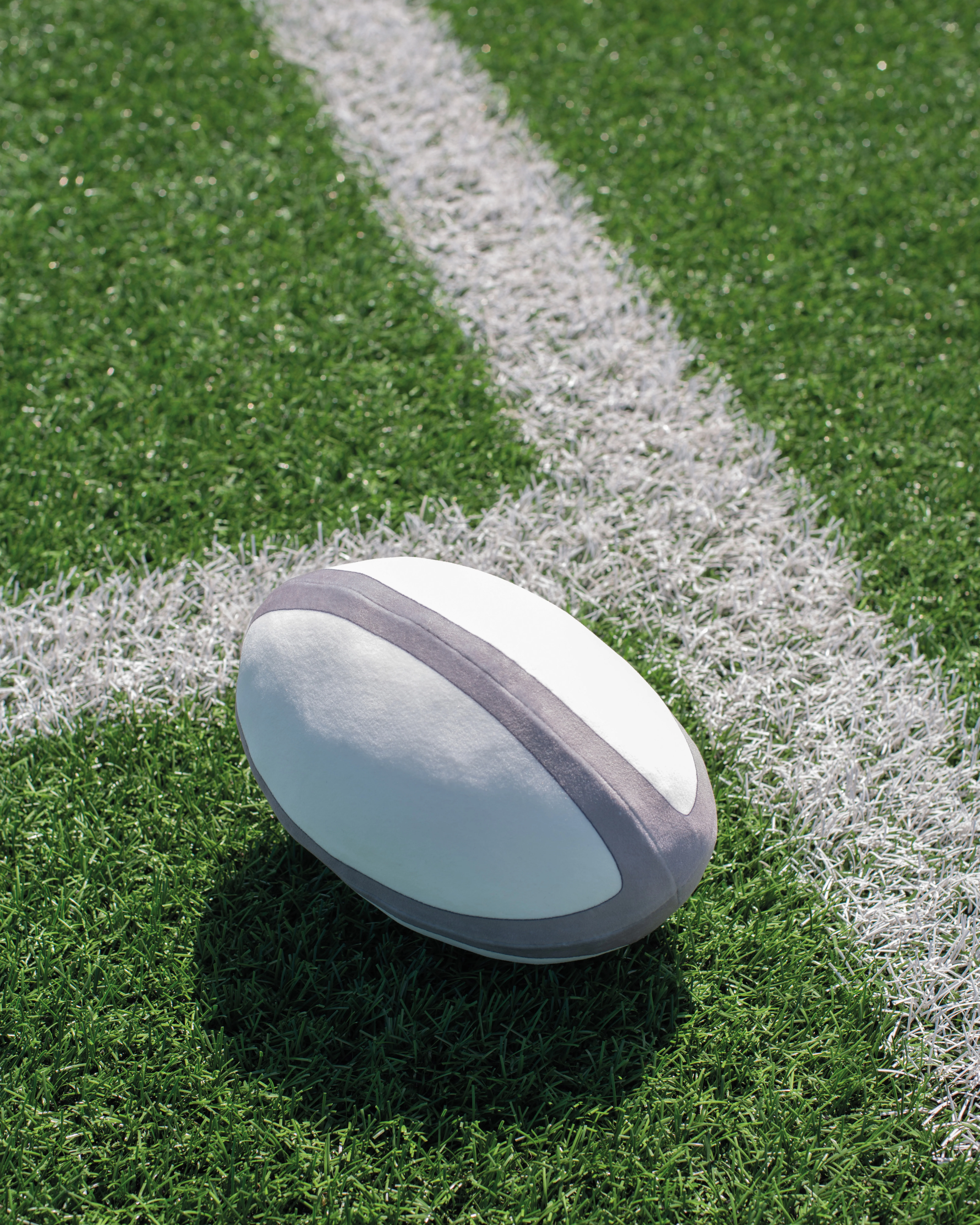 Mumbles Rugbybal met rits