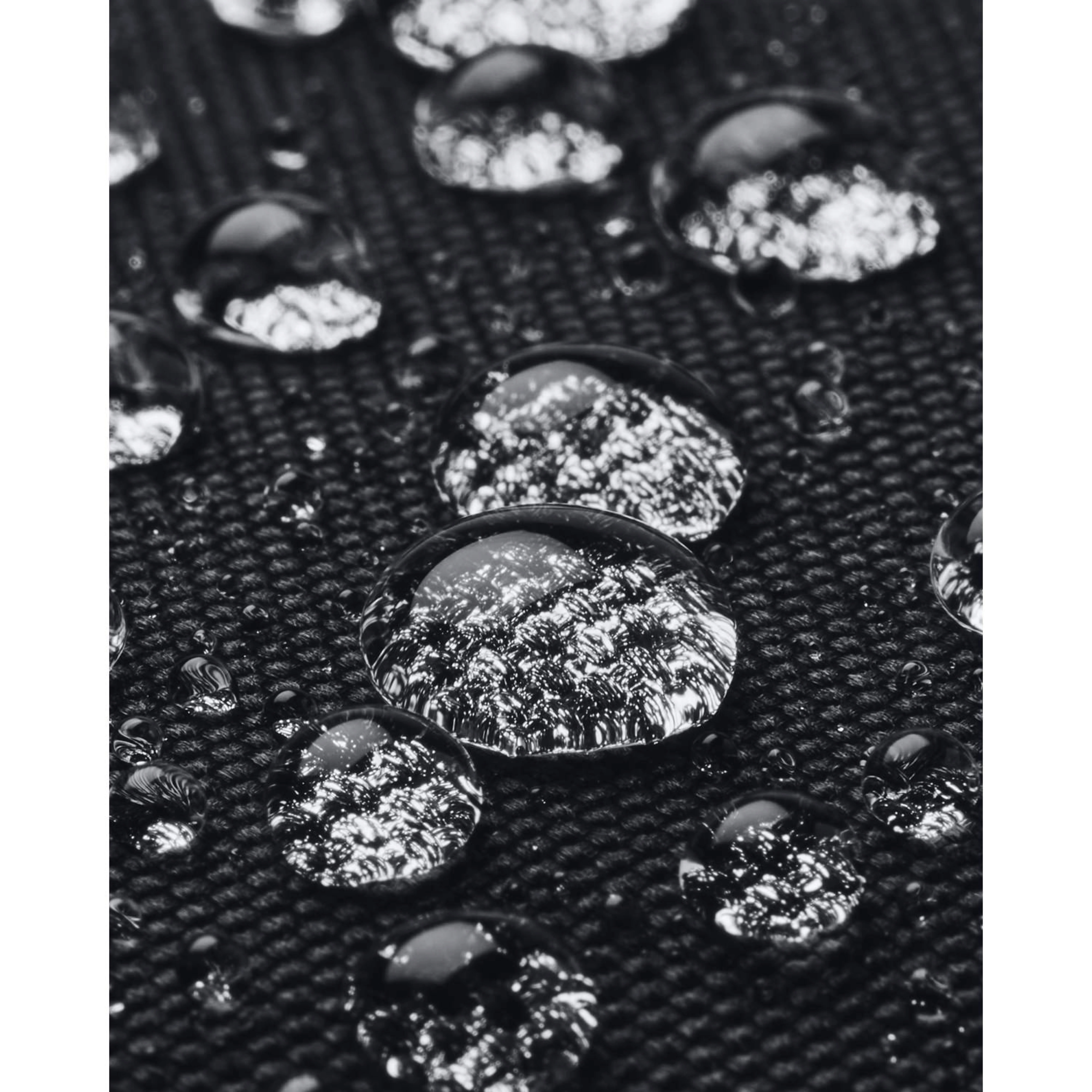 UA056_LS42_2026