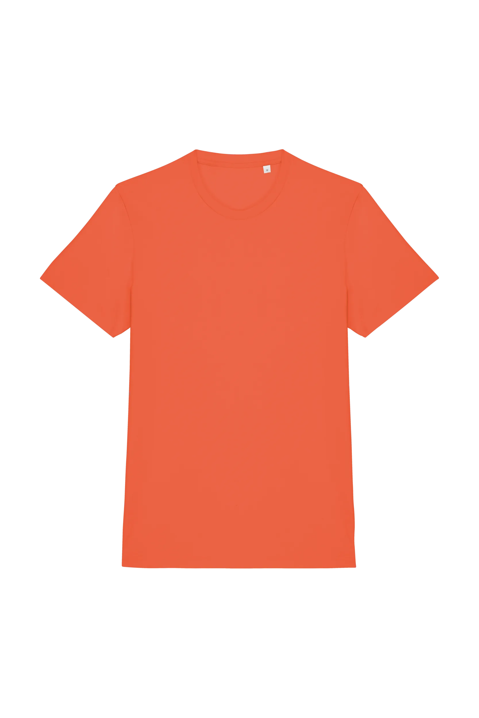 NS300 BUTTERNUT