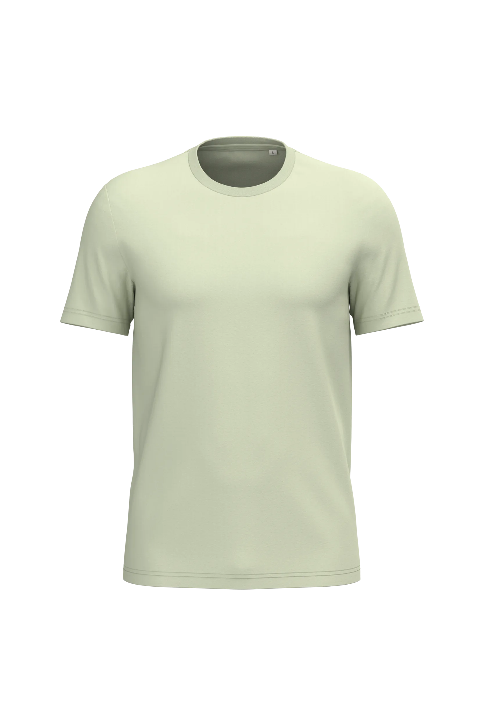 NS300 CELADONGREEN