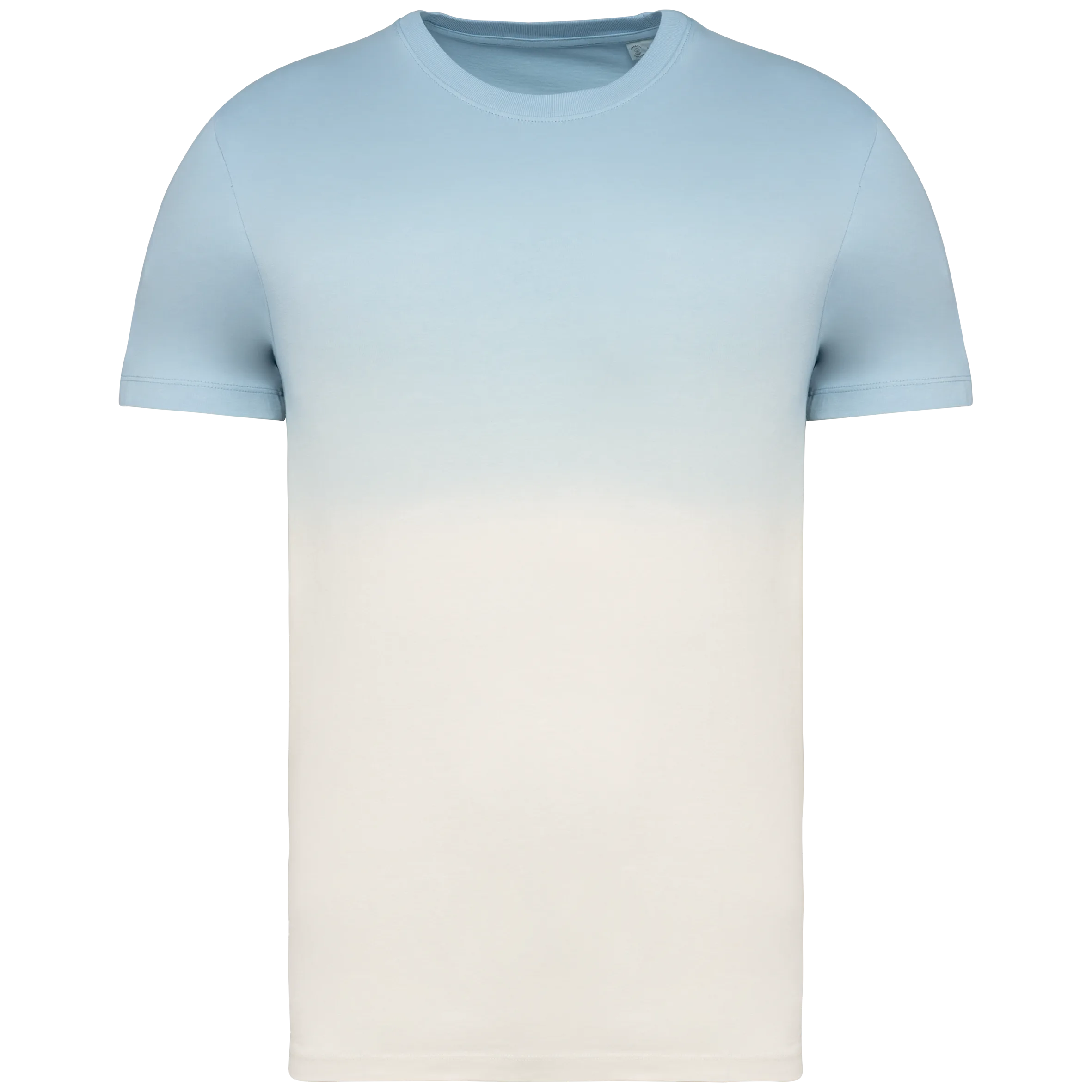NS345 DIPDYEAQUAMARINE